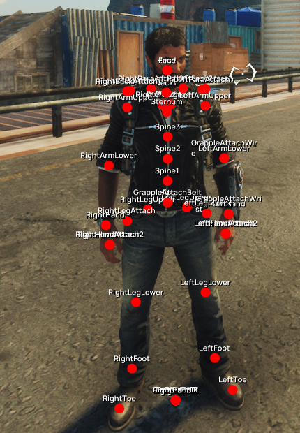 Image showing all bone positions on a character